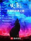 火影:平民的逆袭之路