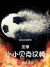 足球:小小贝克汉姆