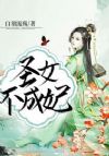 圣女不成妃
